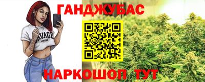 шишки Кингисепп