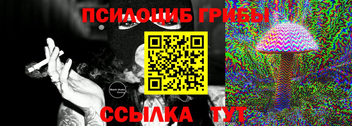 что такое   Галлюциногенные грибы Psilocybe  Вход с VPN  Зеленогорск  Псилоцибиновые грибы Psilocybine cubensis 